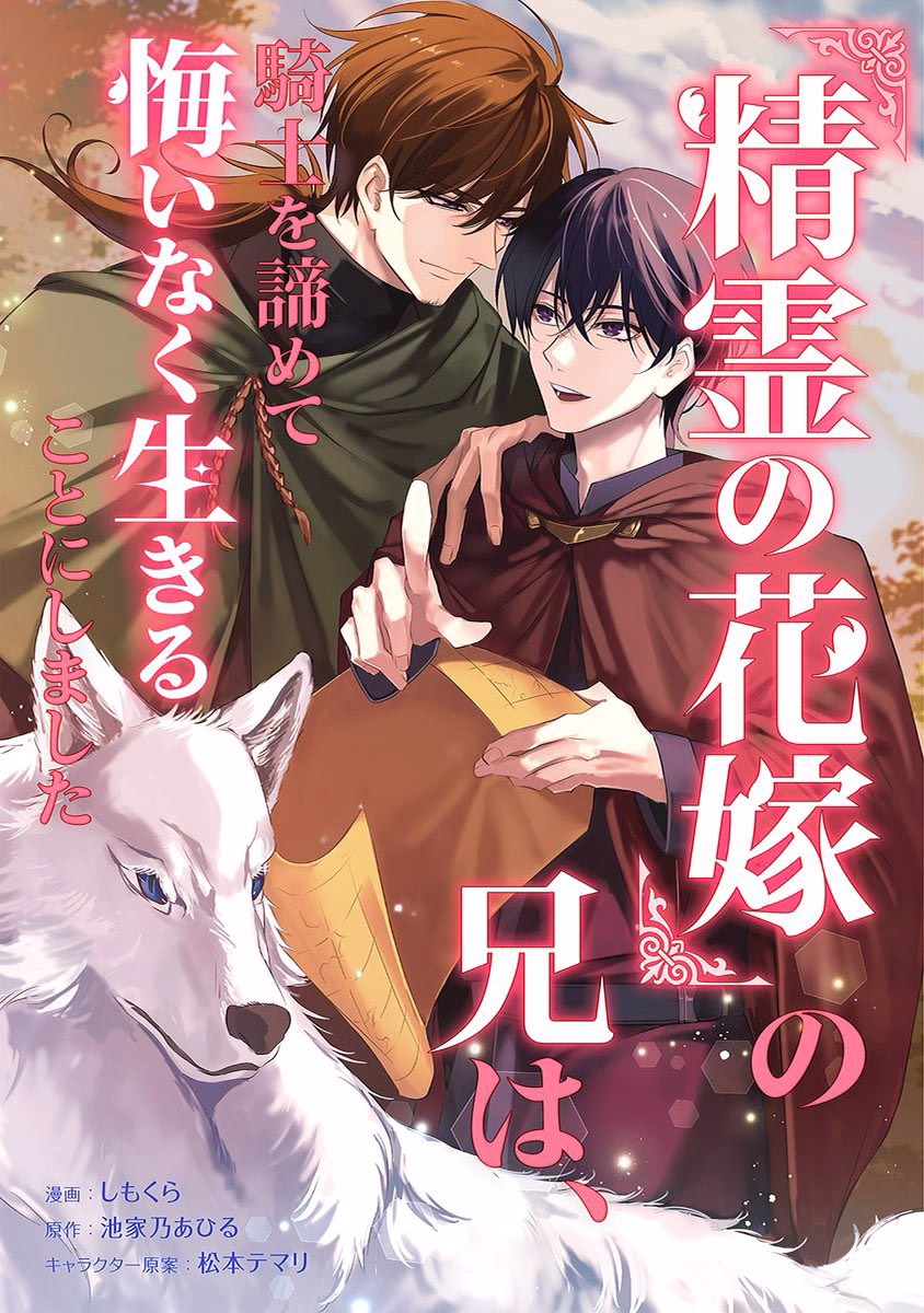 『精霊の花嫁』の兄は、騎士を諦めて悔いなく生きることにしました